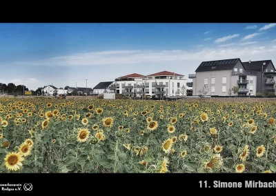 11-Mirbach-Simone-Sonnenblumen-im-Neubaugebiet-Hainhausen