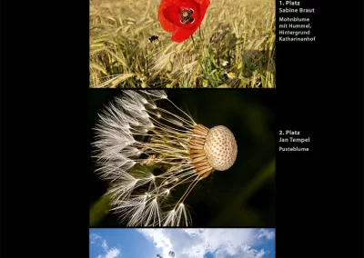 rodgau-fotowettbewerb2025-platz1-3